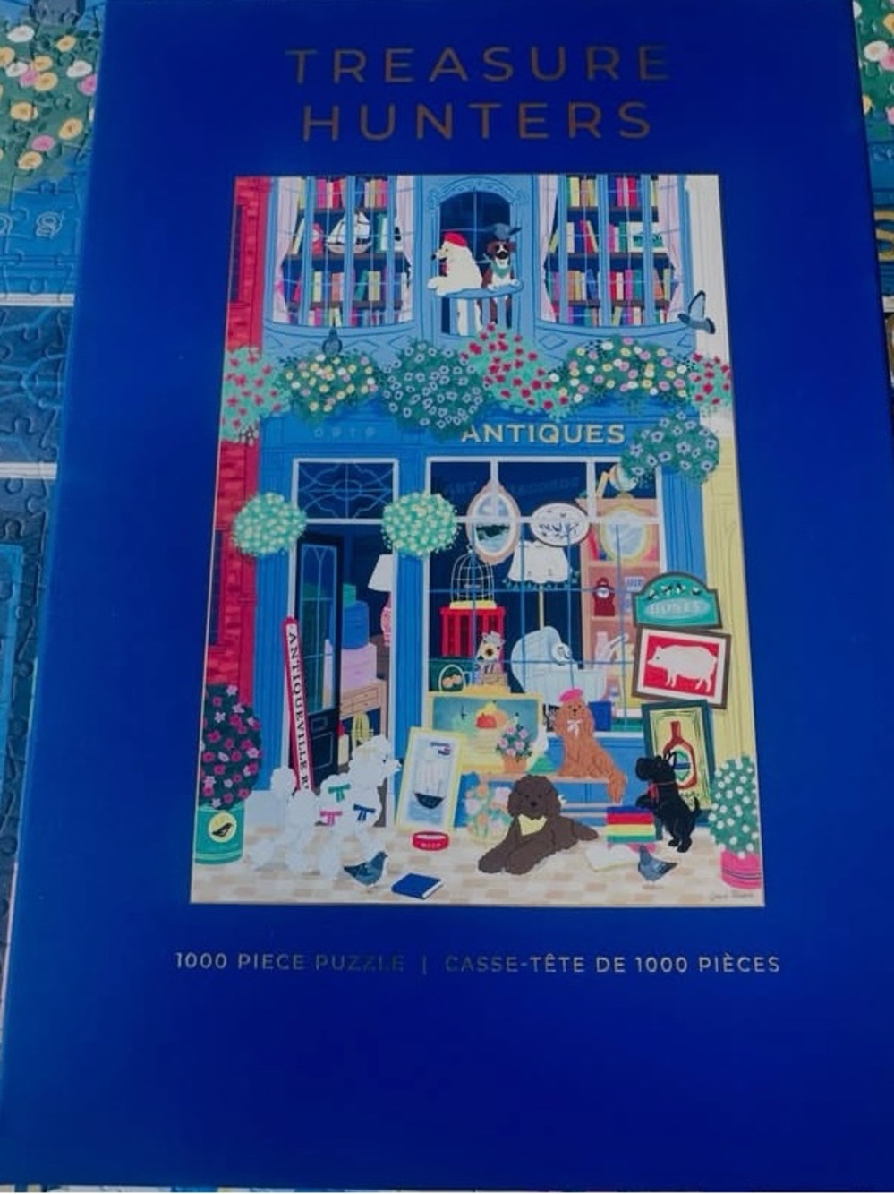 Hobbry x Treasure Hunters Puzzle 1000pcs - new